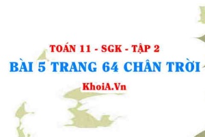 Bài 5 trang 64 Toán 11 Tập 2 Chân trời sáng tạo
